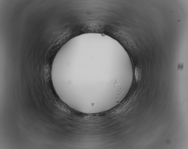 X0000097891107200804041304