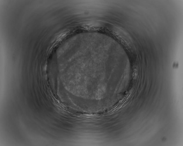 X0000097891108200804041304