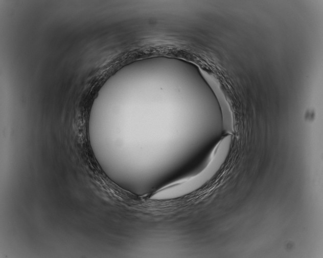 X0000097891109200804041304