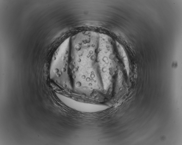 X0000097891110200804041304