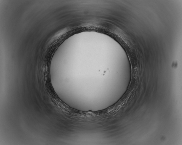 X0000097891111200804041304