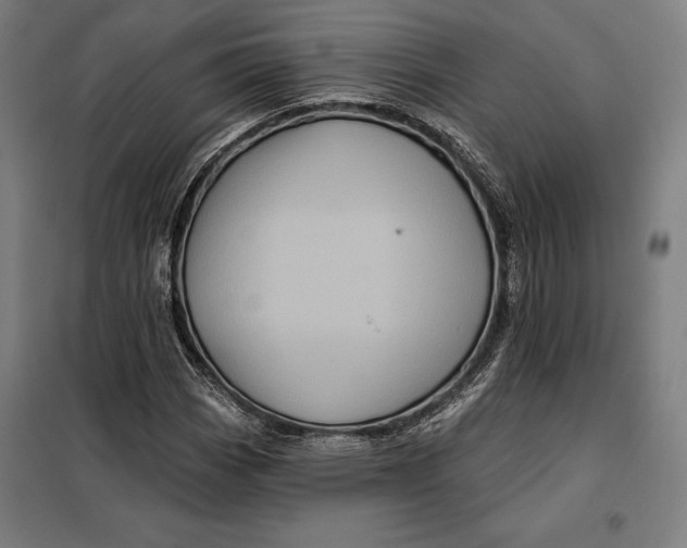 X0000097891113200804041304