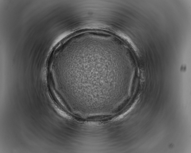 X0000097891114200804041304