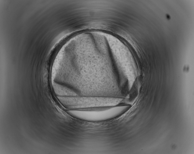 X0000097891115200804041304