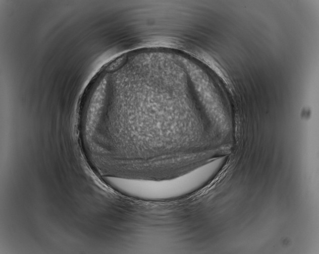 X0000097891116200804041304