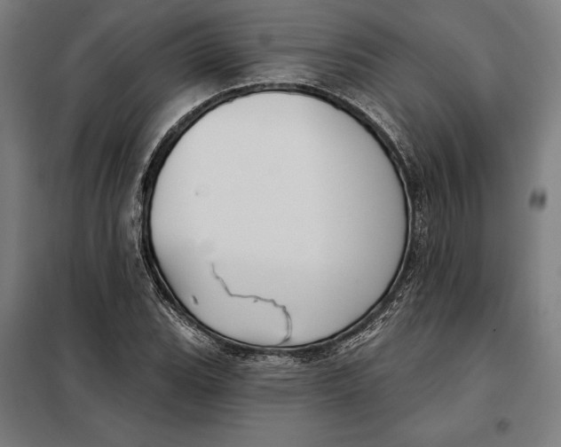 X0000097891119200804041304