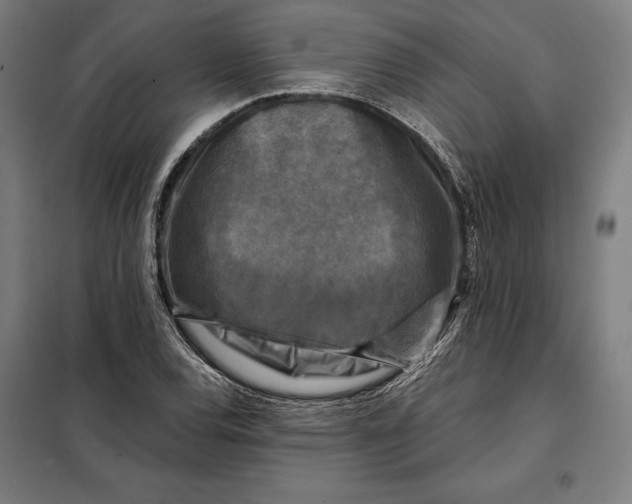 X0000097891120200804041304