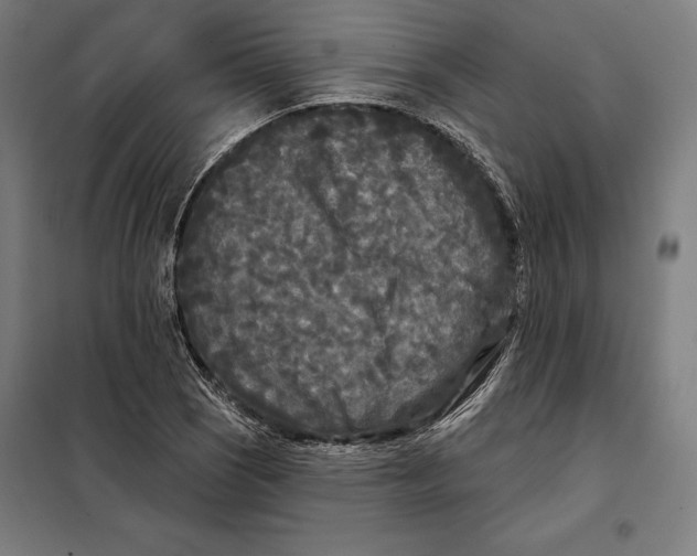 X0000097891121200804041304