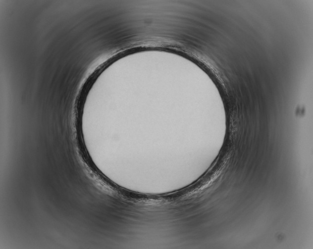 X0000097891122200804041304