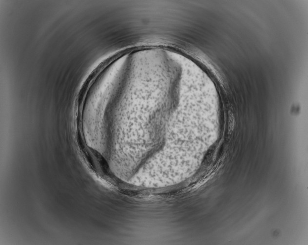 X0000097891124200804041304