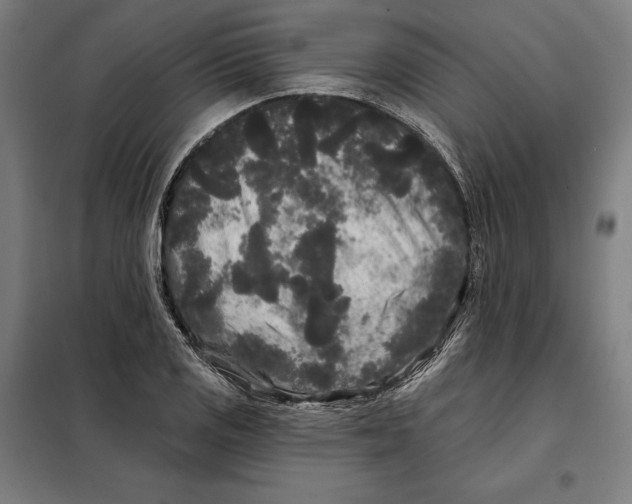 X0000097891125200804041304