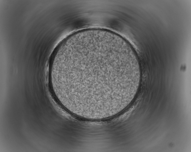 X0000097891126200804041304