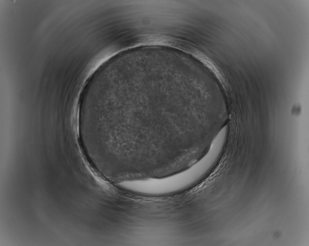 X0000097891127200804041304