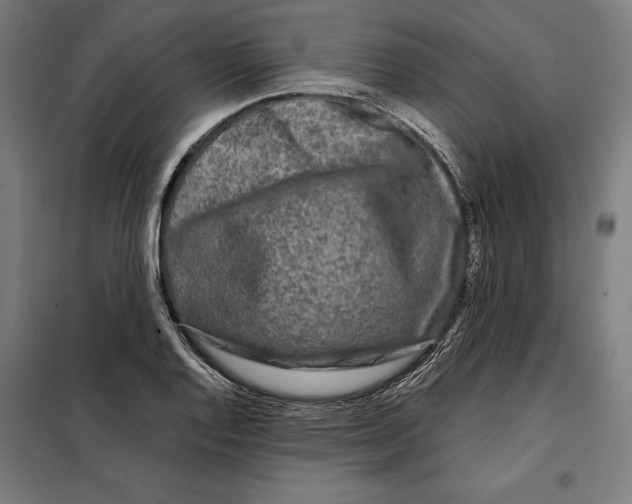 X0000097891128200804041304