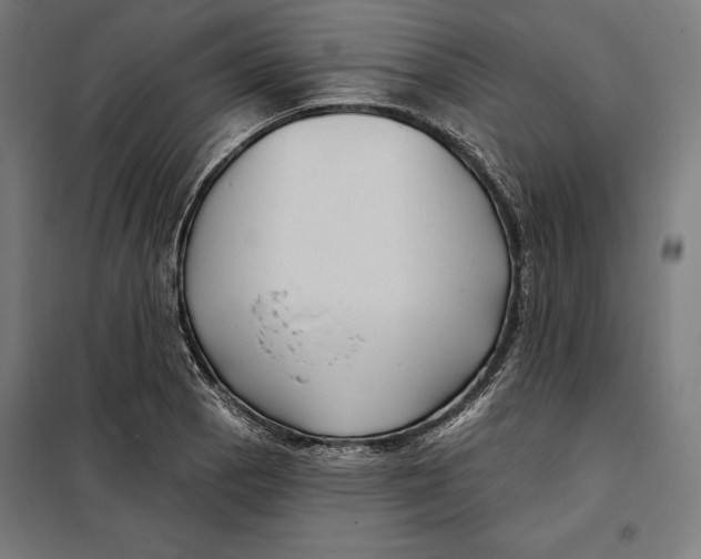 X0000097891129200804041304