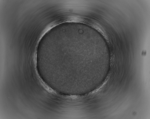 X0000097891130200804041304