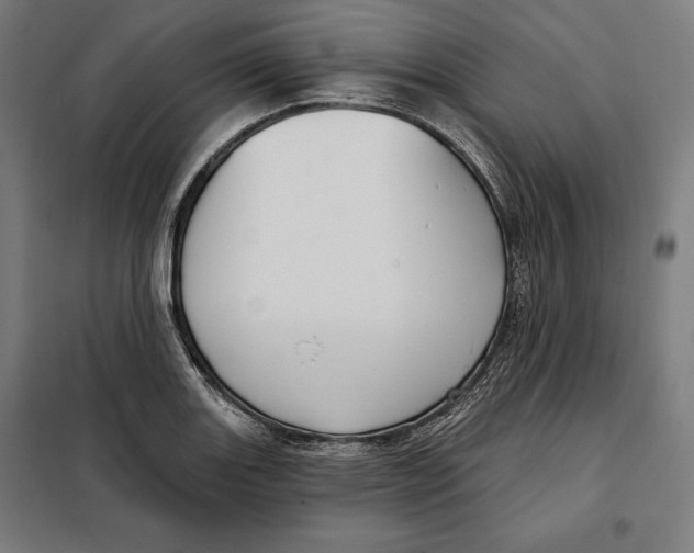 X0000097891131200804041304