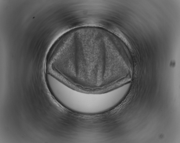 X0000097891132200804041304