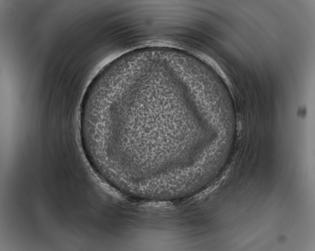 X0000097891133200804041304