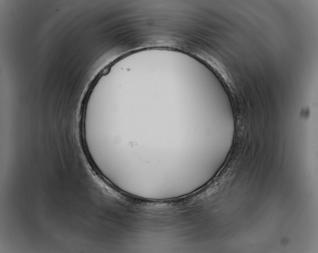 X0000097891135200804041304