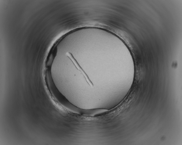 X0000097891136200804041304