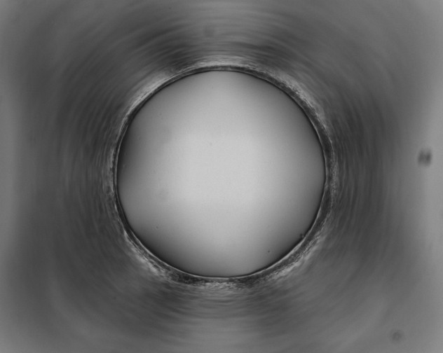 X0000097891137200804041304