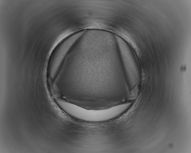 X0000097891138200804041304