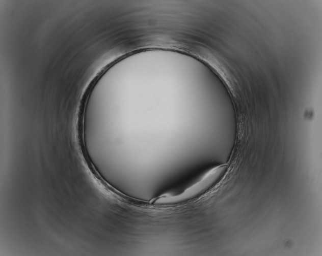 X0000097891139200804041304