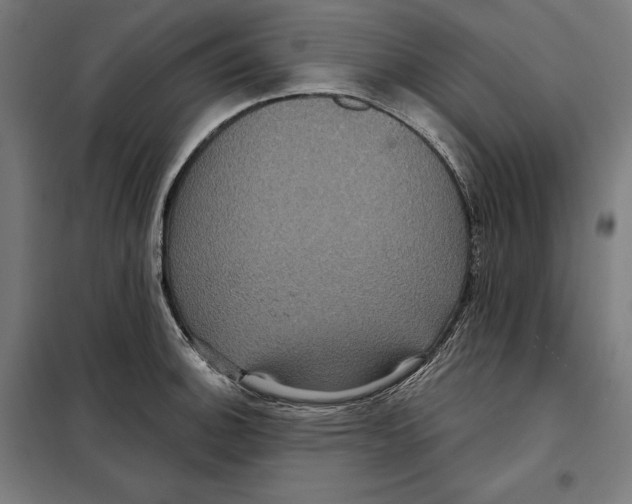 X0000097891140200804041304