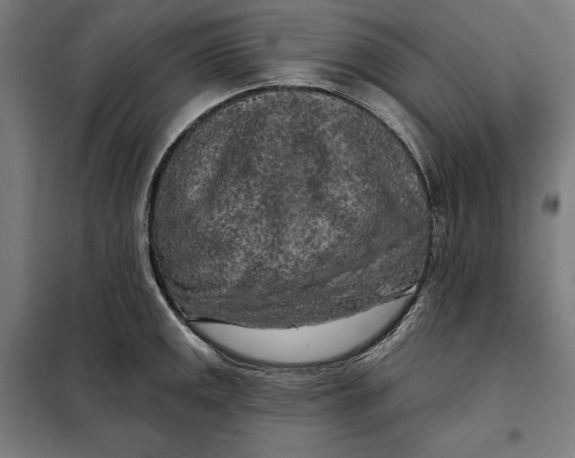 X0000097891141200804041304