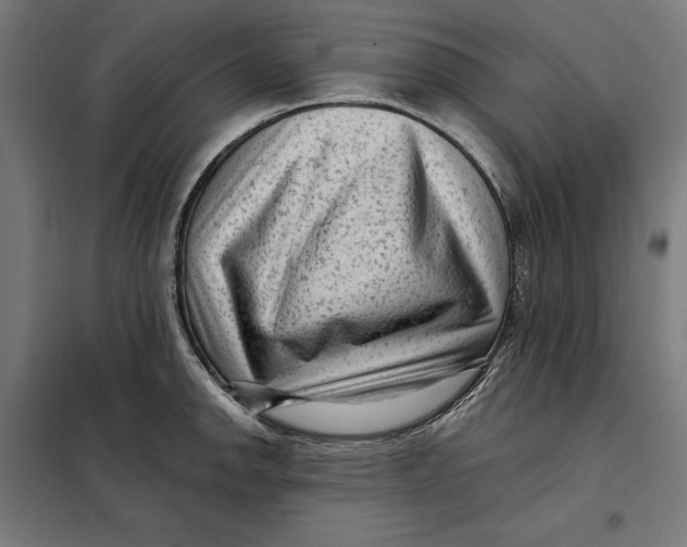 X0000097891142200804041304