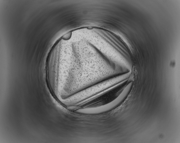 X0000097891143200804041304