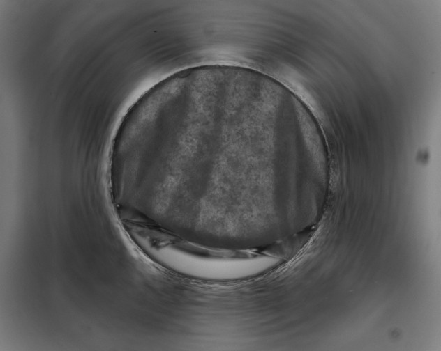 X0000097891144200804041304