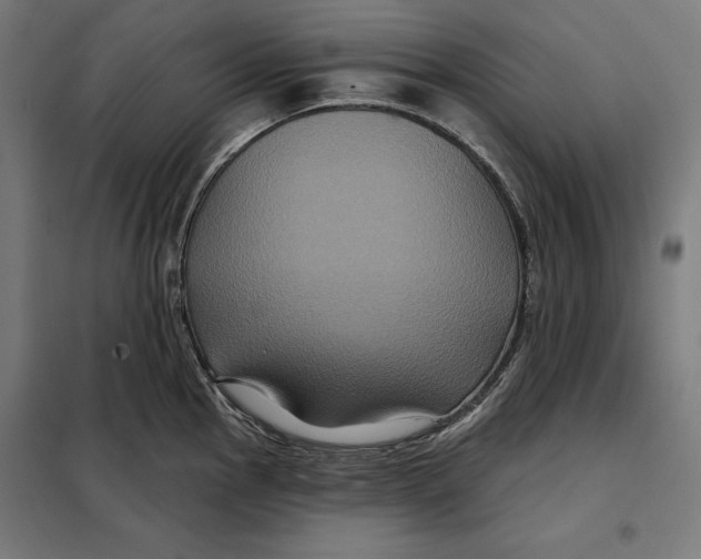 X0000097891145200804041304