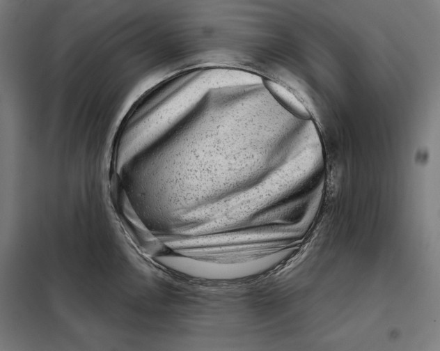 X0000097891146200804041304