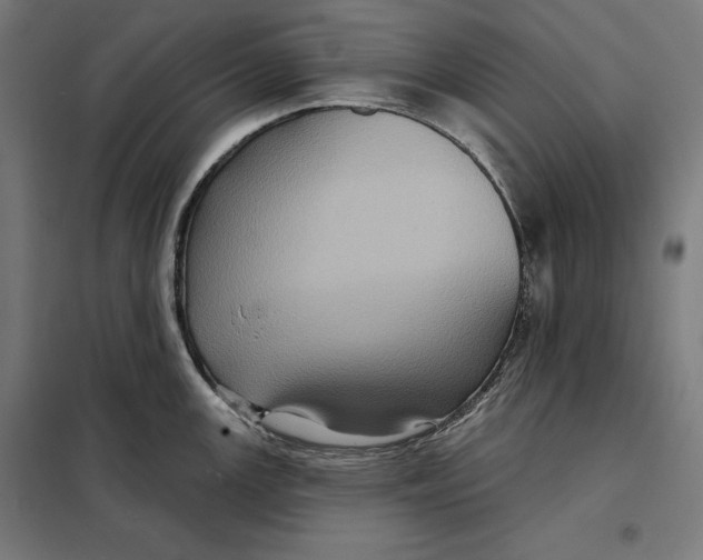 X0000097891147200804041304