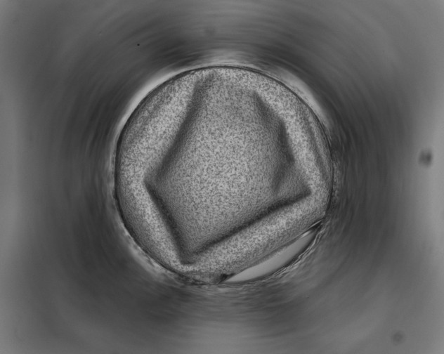 X0000097891148200804041304