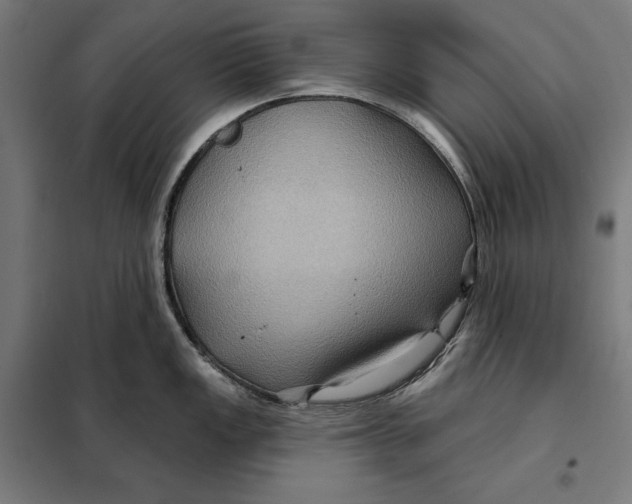 X0000097891149200804041304