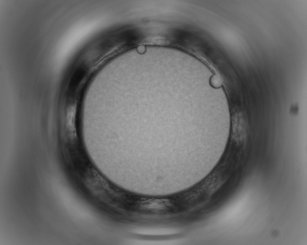 X0000097891150200804041304