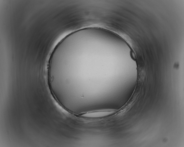 X0000097891151200804041304