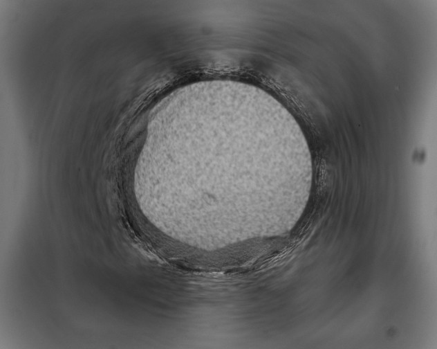 X0000097891153200804041303