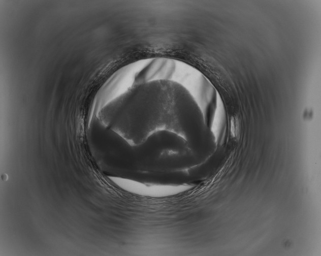 X0000097891155200804041303