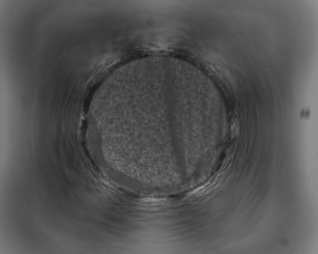 X0000097891156200804041303