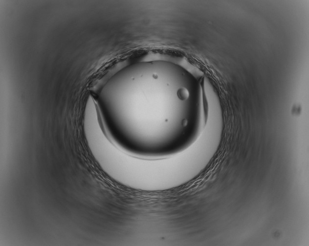 X0000097891157200804041303