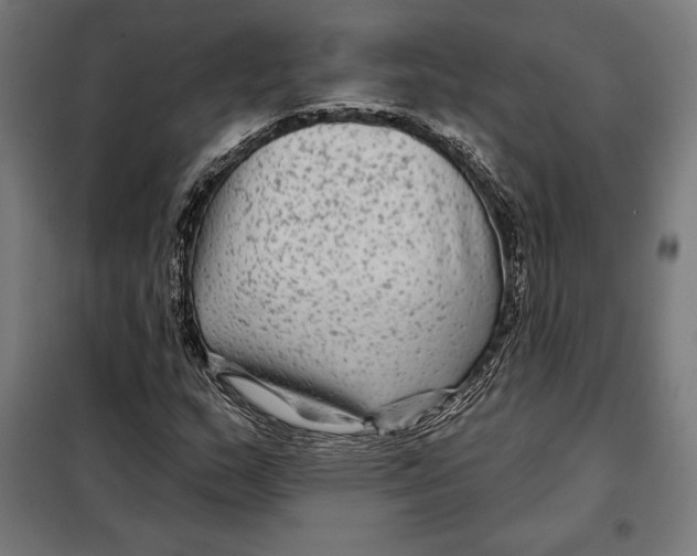 X0000097891159200804041303