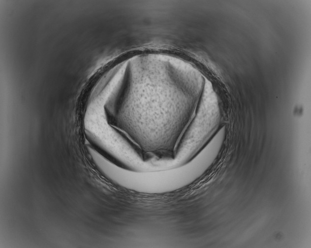 X0000097891160200804041303