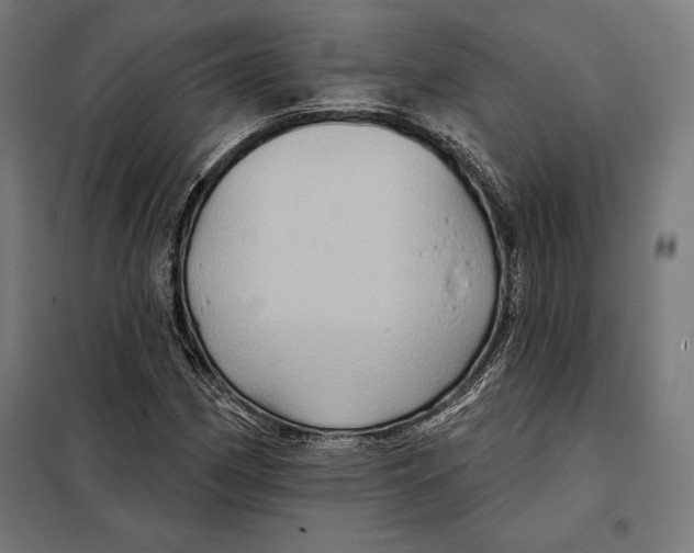 X0000097891162200804041303