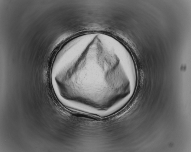 X0000097891163200804041303