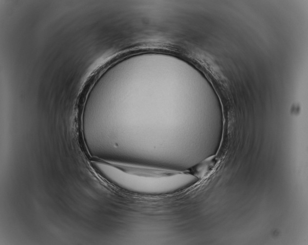 X0000097891164200804041303