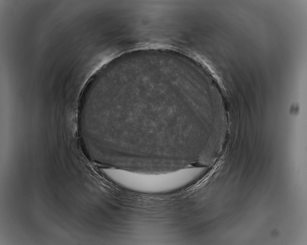 X0000097891165200804041303